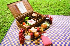 Picnic